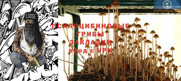 мет Арсеньев