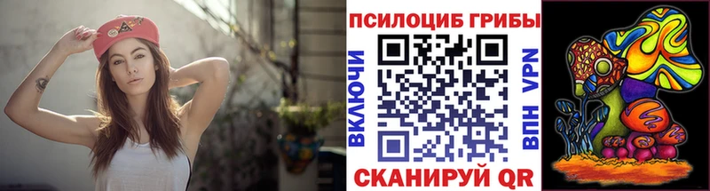 Галлюциногенные грибы мицелий  блэк спрут зеркало  Починок 
